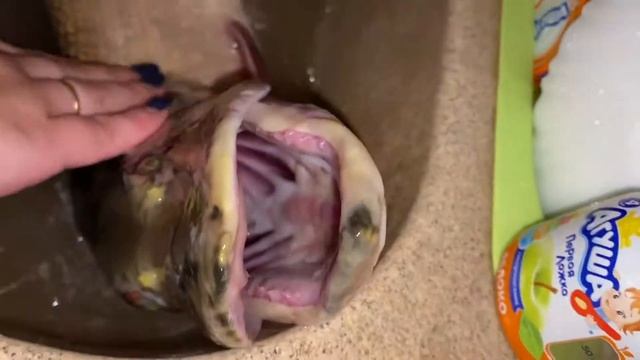 Всё надо успеть? Моем, чистим, готовим?Как легко и просто разделать щуку на филе? смотреть онлайн