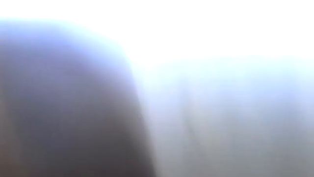 У кошек жирные жопы смотреть онлайн