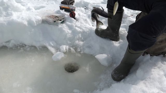 Весенняя рыбалка в северных улусах Якутии смотреть онлайн