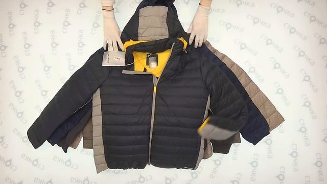 Geox+Brend men piumo jackets 4, *сток одежда оптом смотреть онлайн