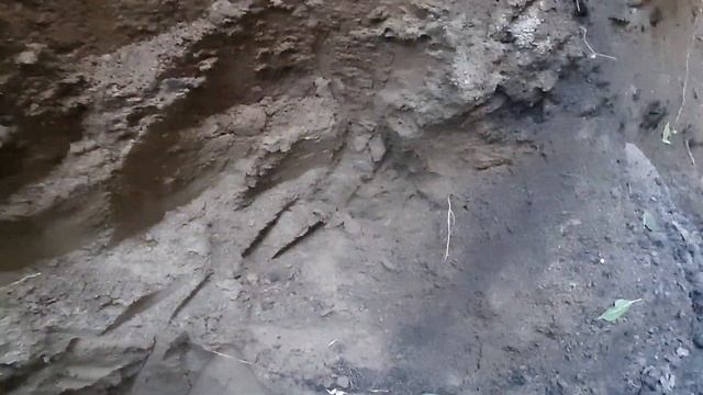 Песок для кладки бесплатно со своего участка. Солидная экономия в постройке дома своими руками. смотреть онлайн