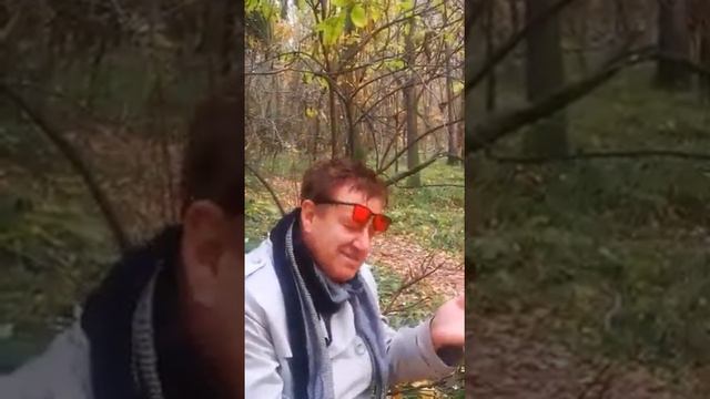 Станислав Перелыгин - Посвящение Высоцкому (стихи) смотреть онлайн