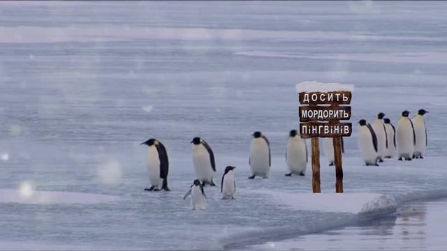 Дед Мороз и Пингвины смотреть онлайн