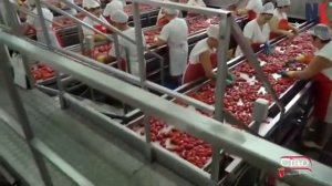 Современные технологии пищевой промышленности