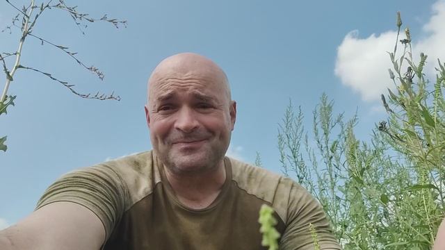 мифы и заблуждения о добровольцах смотреть онлайн