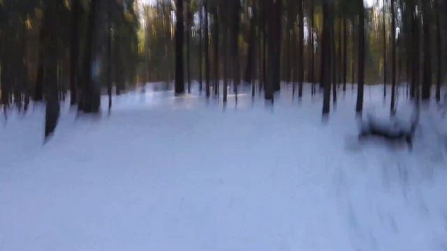 Бор. Велопрогулка. смотреть онлайн