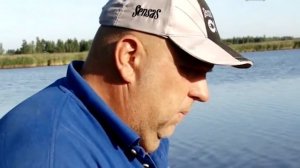 Ловля хищника на живца на донку