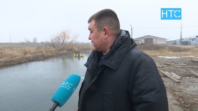 Почему массово гибнут рыбы в водоемах Чуйской области? / 17.01.22 / НТС