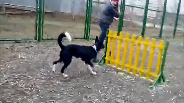 Фаня. "Барьер" смотреть онлайн