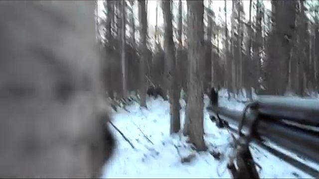 Охота на лося в Якутии смотреть онлайн