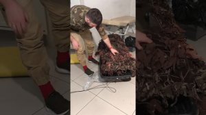 Скрадок для болота. Из волокуши своими руками.