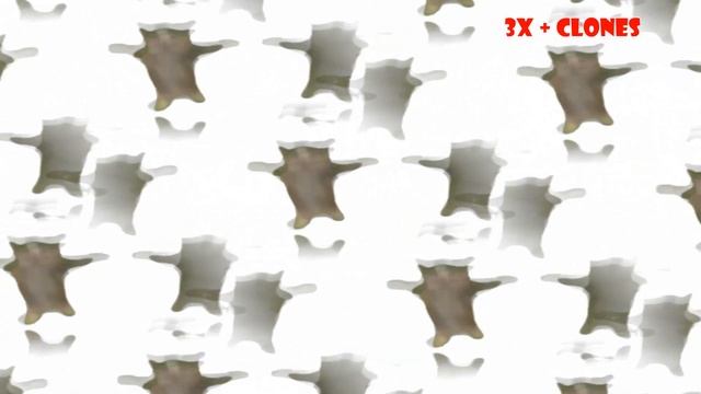 Happy Happy Happy Cat Meme (Speed 999x + Edit)