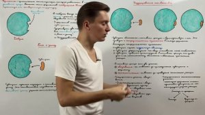 Строение активного центра. Теории взаимодействия фермента и субстрата