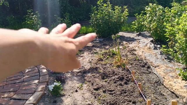 Одна в деревне и все делаю сама! Реставрация кресла. Купили дом в деревне. смотреть онлайн