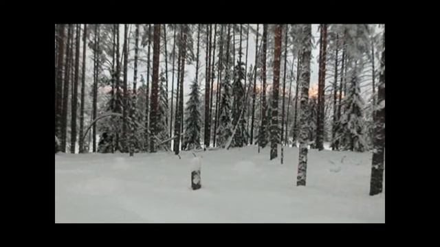Поездка на Кедозеро смотреть онлайн