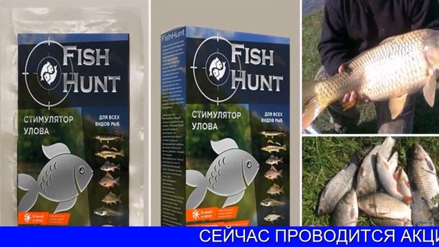 Активатор Клева Фиш Хант смотреть онлайн