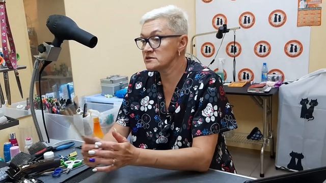 ГРУМЕР - Профессия от первого лица смотреть онлайн