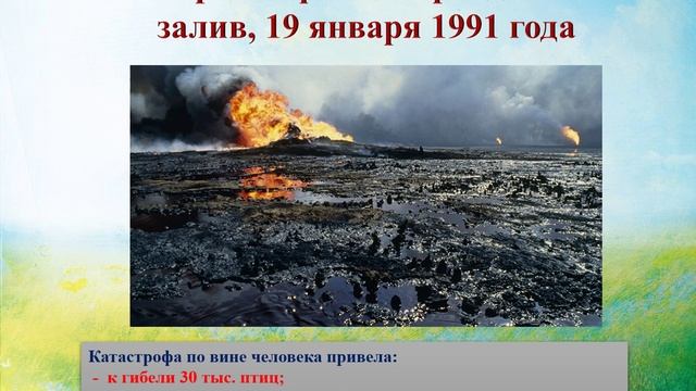 видео 1 Всемирный день защиты животных.mp4 смотреть онлайн