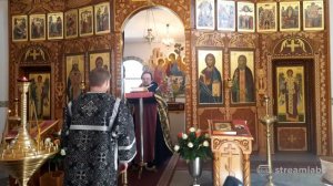 📱 Служба в Великий Пяток. 17.04.2020