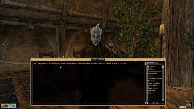Let's Play Morrowind (semi-blind) | It's On My Mind (Part 18) смотреть онлайн