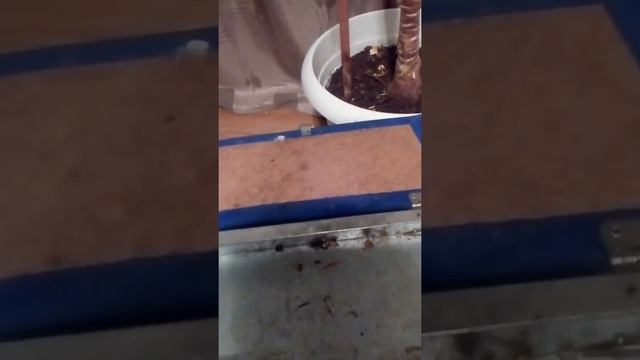 Что находится в моём рыболовном ящике ??? смотреть онлайн