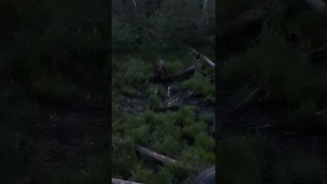 Лучшие солонцы. Солонец N1 смотреть онлайн