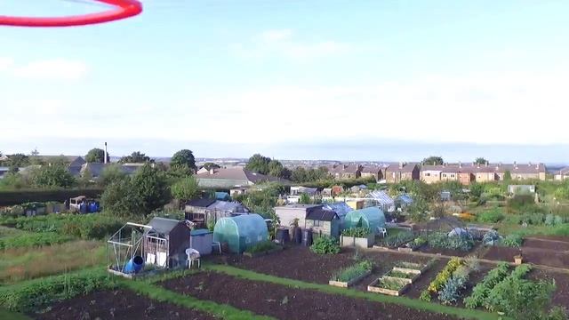 Allotments Thornhill Dewsbury West Yorkshire
