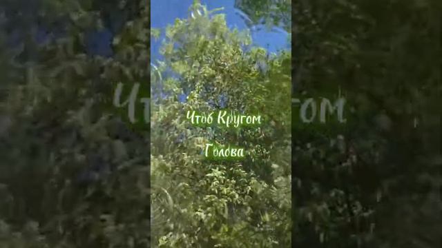 Любите жизнь смотреть онлайн