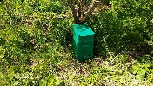 Рой. Полет роя.Роение. смотреть онлайн