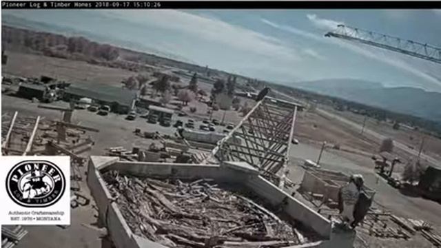 PLH Osprey - #1 and #3 react to the other crane moving! - 17 09 18 смотреть онлайн