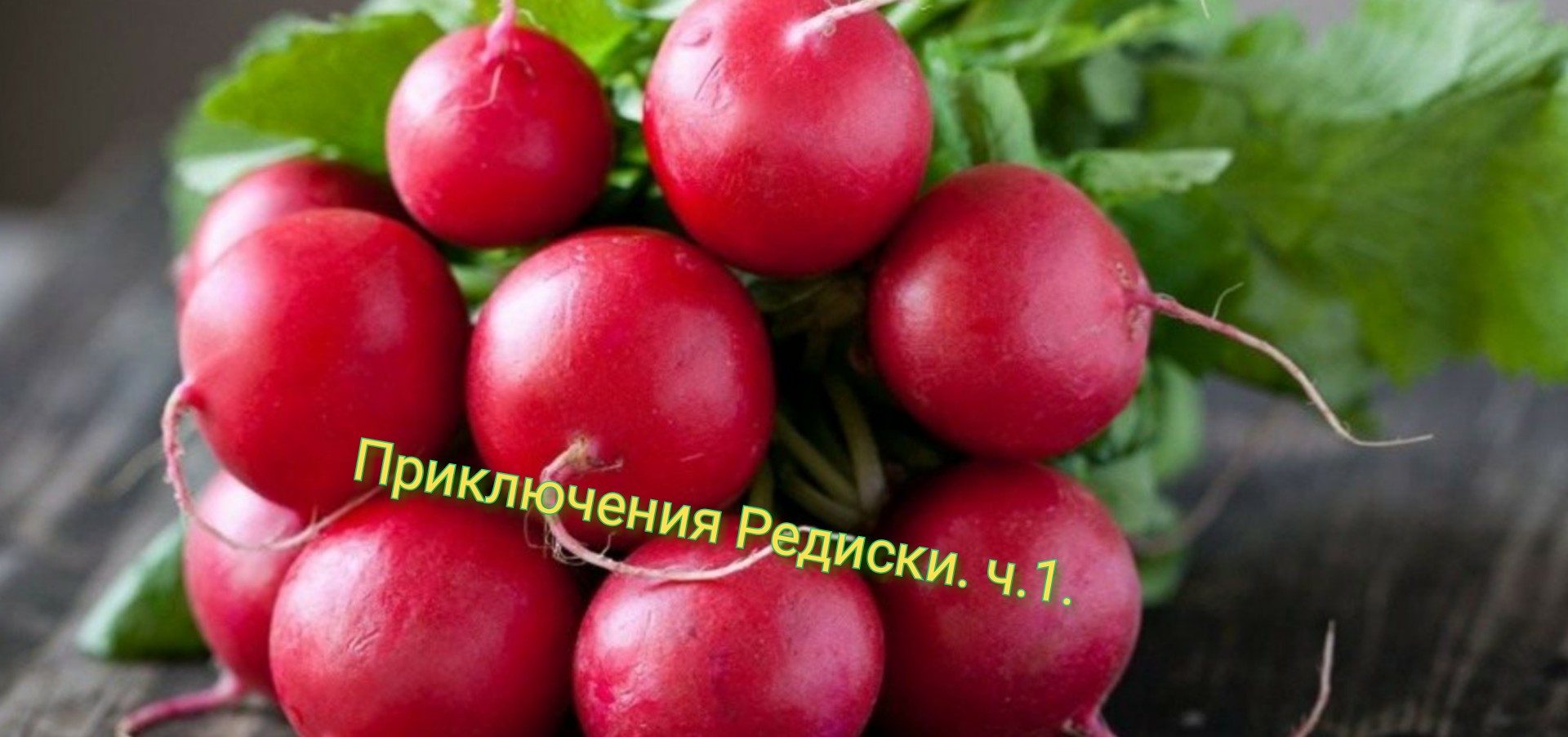 БОМЖ & АВТОДОМ