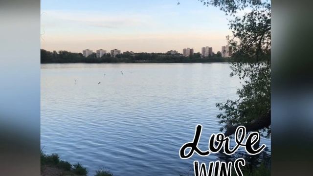 Моноколеса в парке Inmotion V8 & V10F Mood Video