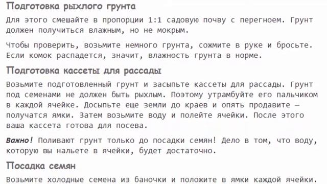 Гомфрена выращивание из семян посадка и уход в открытом грунте смотреть онлайн