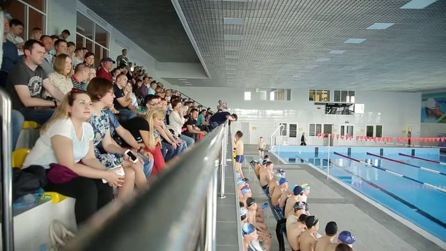 Школа Плавания Дельфин смотреть онлайн