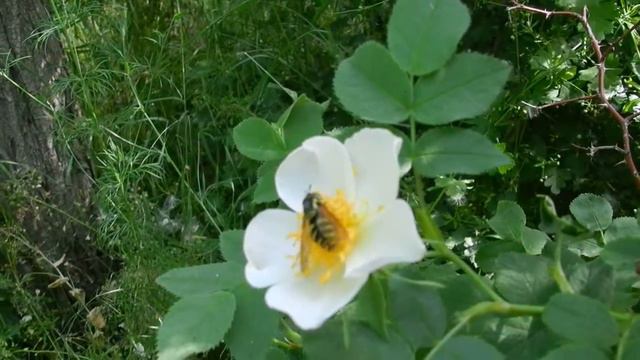 Обитатели рая смотреть онлайн