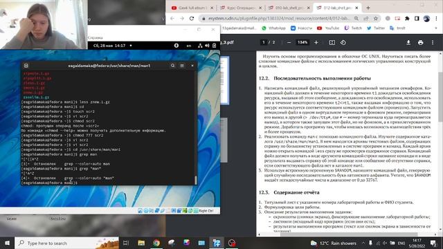Лаб 12 вид 1 смотреть онлайн