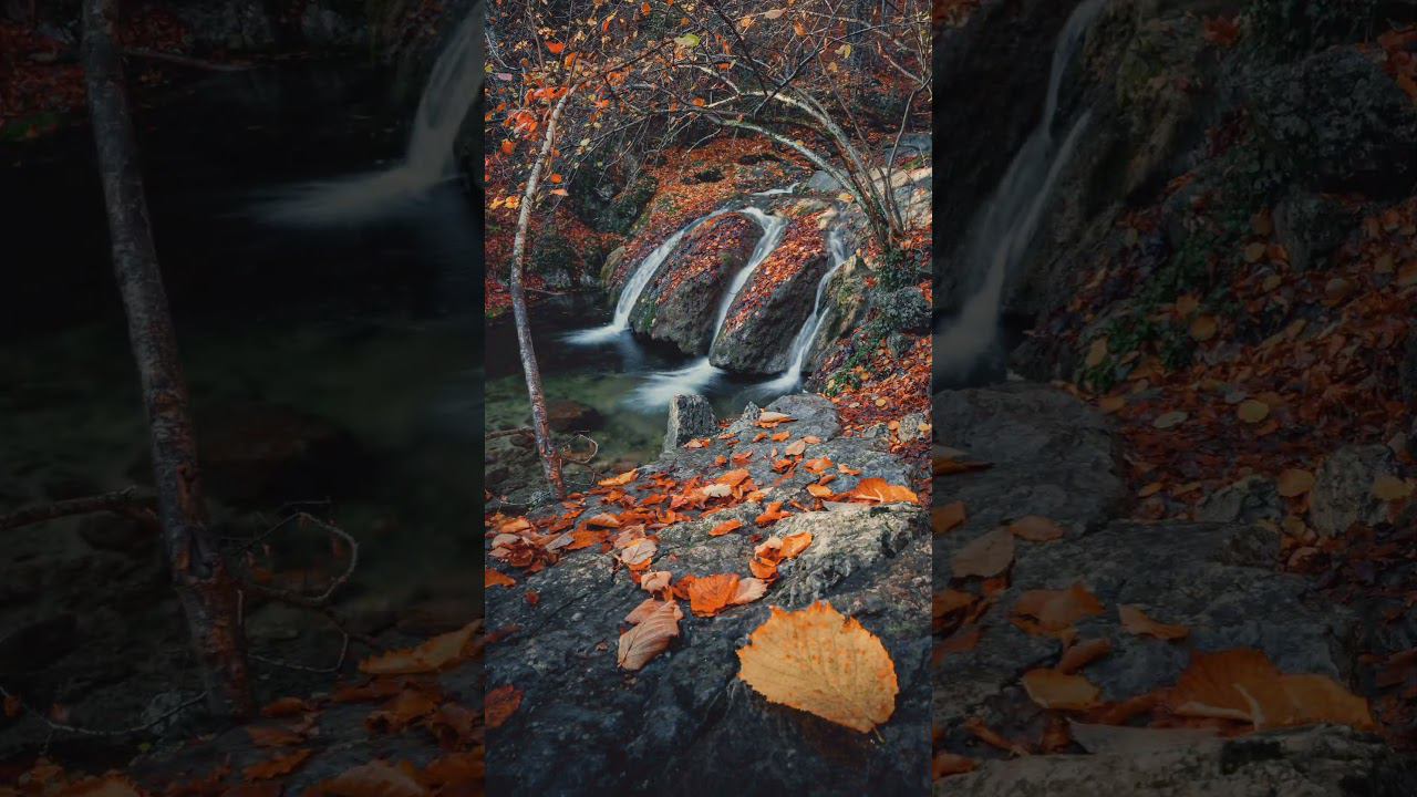 #shorts Краски осени / обработка фотографий в Lightroom / Лайтрум смотреть онлайн