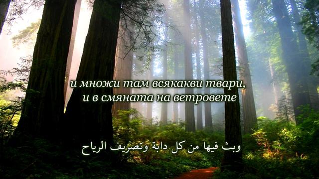 СУРА КРАВАТА (АЛ-БАКАРА) 163-165 смотреть онлайн