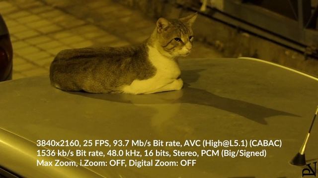 Panasonic LUMIX DMC-FZ2000: Low Light Night Video Test 4K Zoom - Cat смотреть онлайн