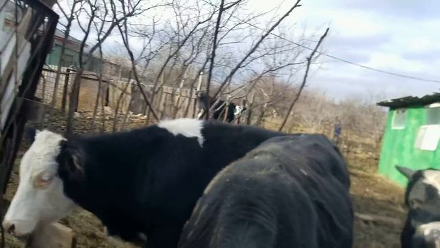 Все что не делается Все к лучшему смотреть онлайн