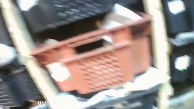 Видео для ТАБАКОВОДОВ. смотреть онлайн