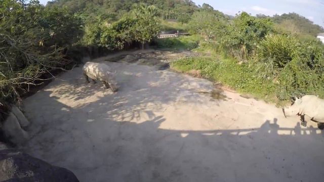 Зоопарк и Maokong Гондола (貓空) смотреть онлайн