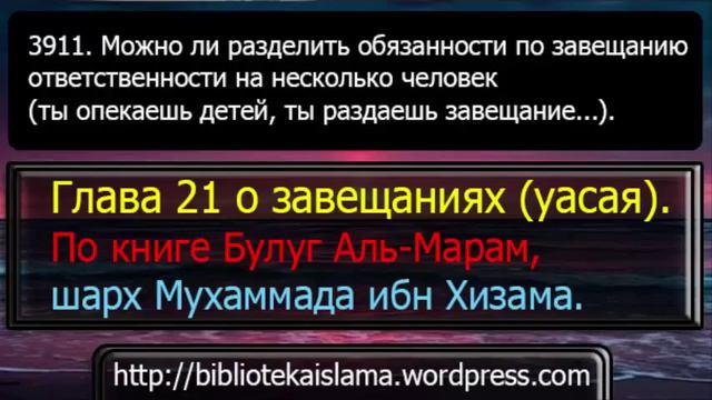 3911 Можно ли разделить обязанности по завещанию ответственности на несколько человек ты опекаешь д смотреть онлайн
