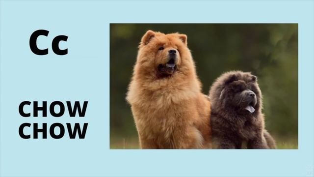 Phonics 100+ ABC words for kids (compilation) смотреть онлайн