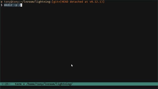 Start a lightning node on regtest with CLN | LN Room #2 смотреть онлайн