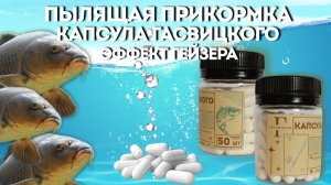 Пылящая прикормка \Капсула Гасвицкого\ эффект гейзера