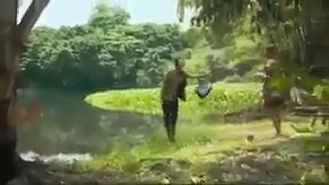 дикая природа смотреть онлайн