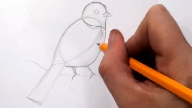 How To Draw a Bird - Real Time Quick Sketch смотреть онлайн
