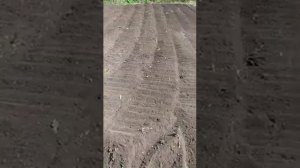 #Фреза на Минитрактор своими руками #файтер т15