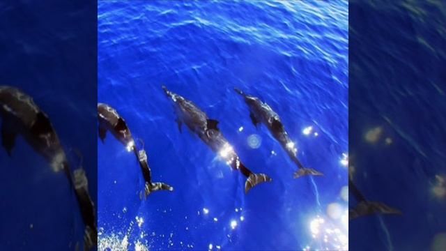 Психология цвета. Синий смотреть онлайн